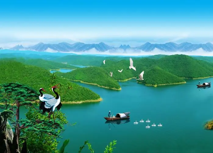 高标准全自动